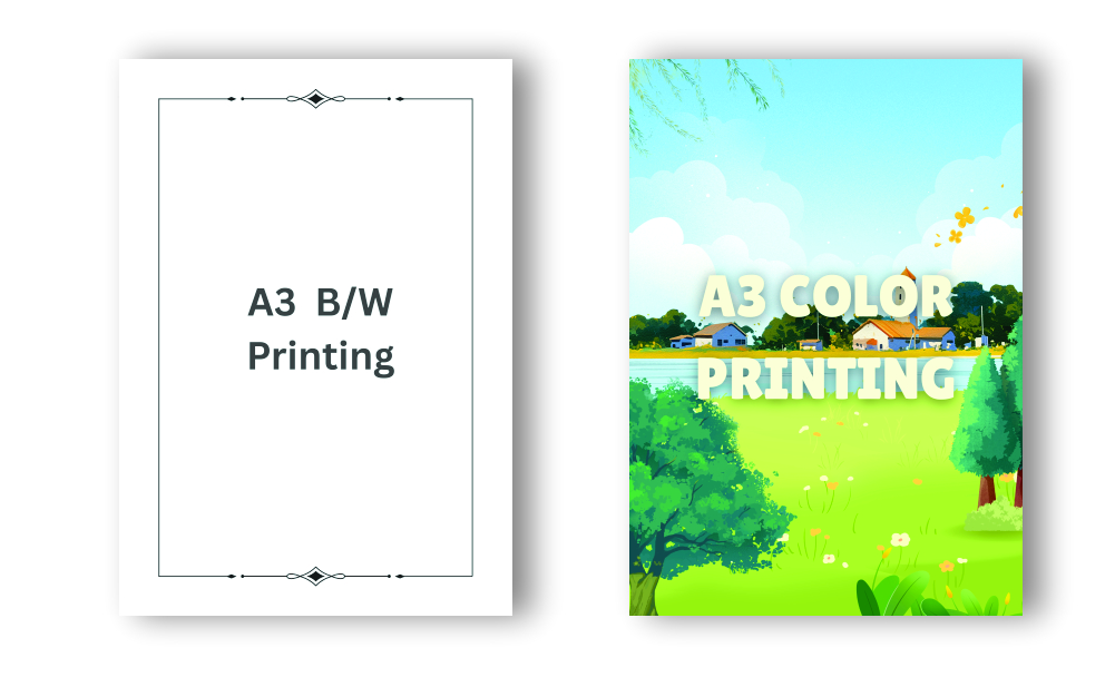 A3 Paper Printing